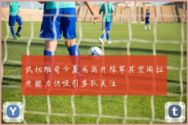 武切维奇今夏或离开绿军其空间拉开能力仍吸引多队关注